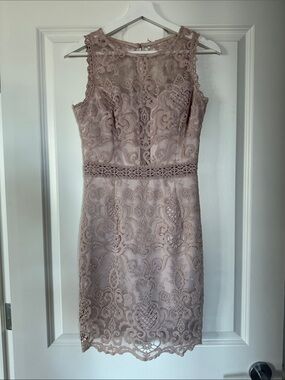 Soieblu Sleeveless Lace Sheath Dress in Dusty Rose